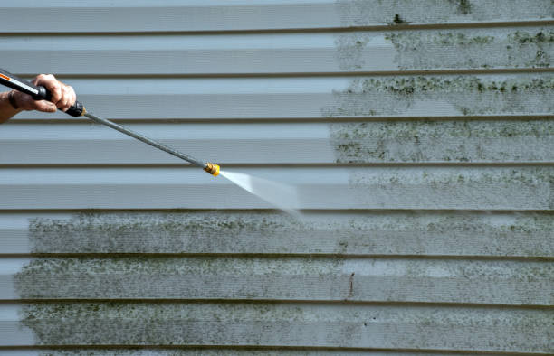 Best Certified Mold Removal  in Millersport, OH