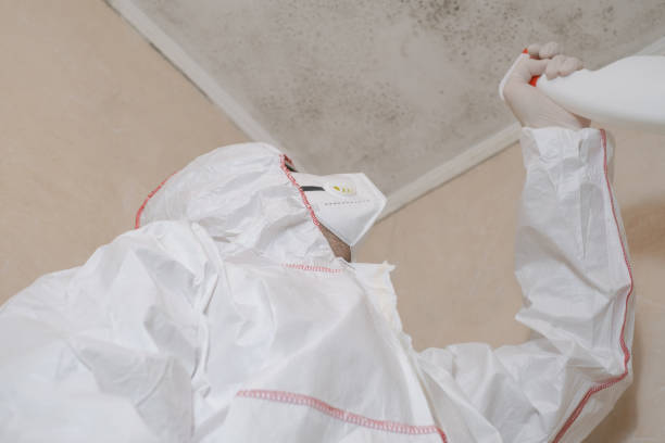 Best Mold Testing  in Millersport, OH